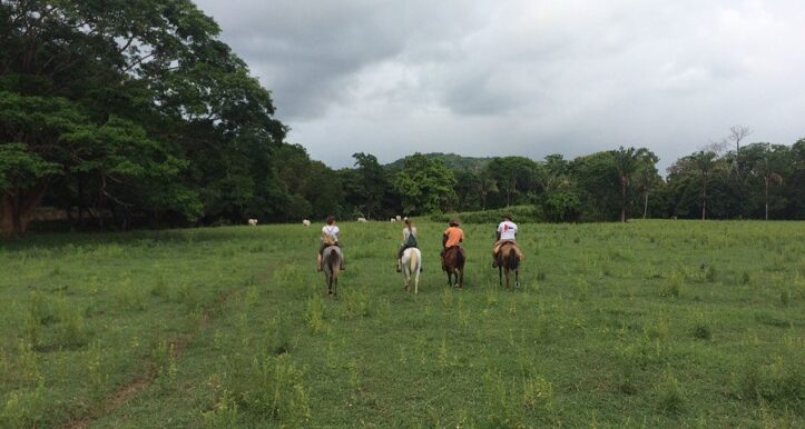 Cowboy Riding Horse