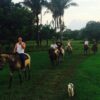 Horseback riding farm costa rica